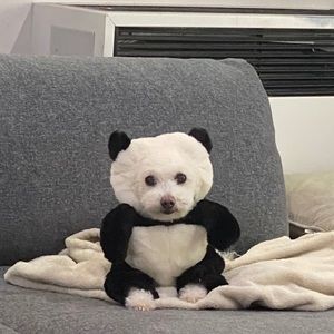 Meet your Posher, Eve